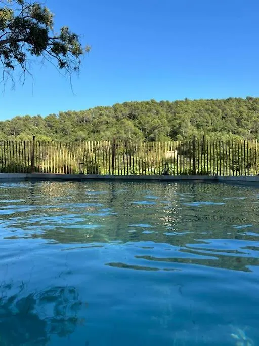 Holiday home Maison De Campagne Au Milieu Des Vignes Et Piscine Meounes-les-Montrieux France