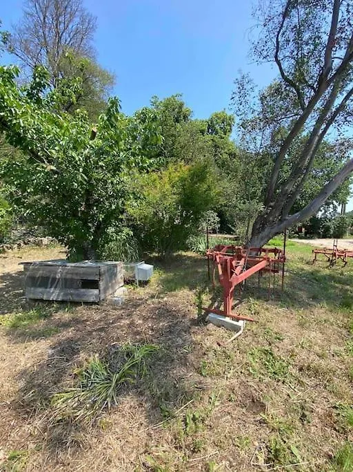 Maison De Campagne Au Milieu Des Vignes Et Piscine Meounes-les-Montrieux Holiday home