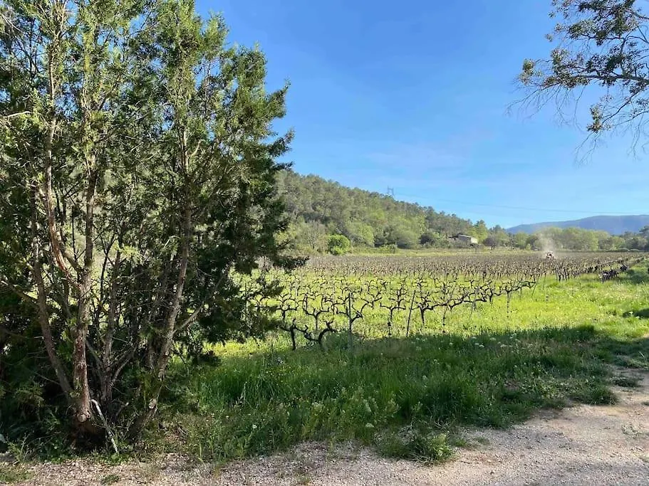 Maison De Campagne Au Milieu Des Vignes Et Piscine Meounes-les-Montrieux Holiday home