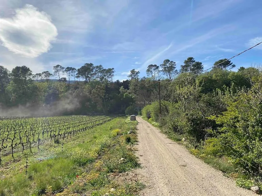 Maison De Campagne Au Milieu Des Vignes Et Piscine Meounes-les-Montrieux