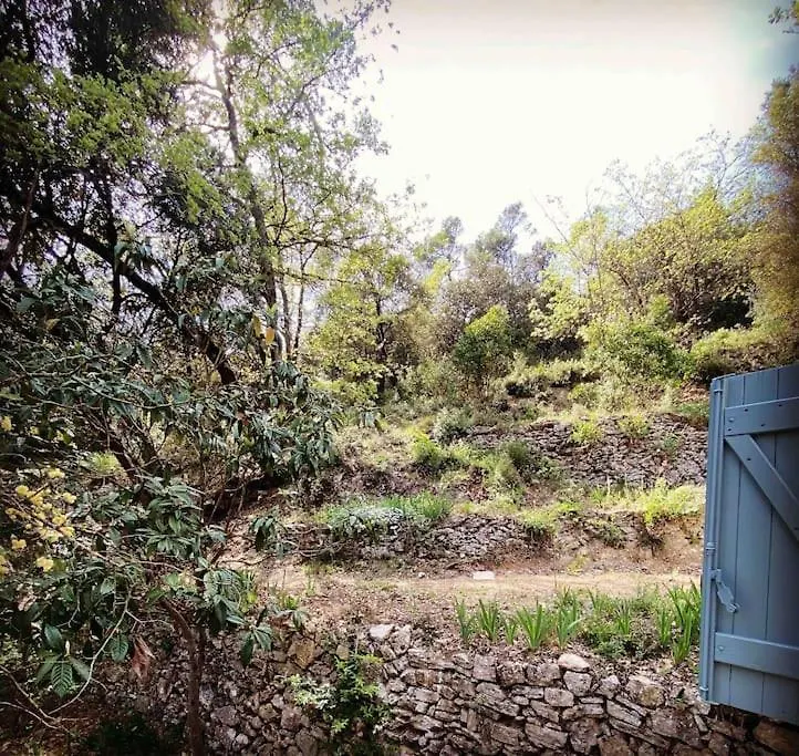 Maison De Campagne Au Milieu Des Vignes Et Piscine Meounes-les-Montrieux 0*,